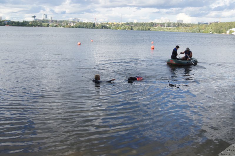 Фотография № 188437