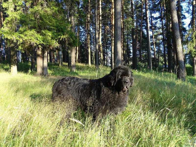 Фотография № 188448