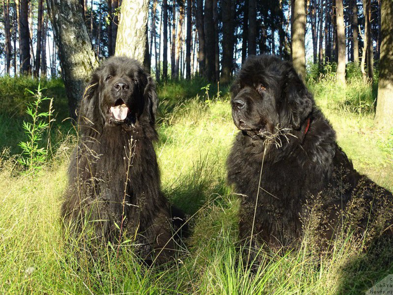 Фотография № 188449