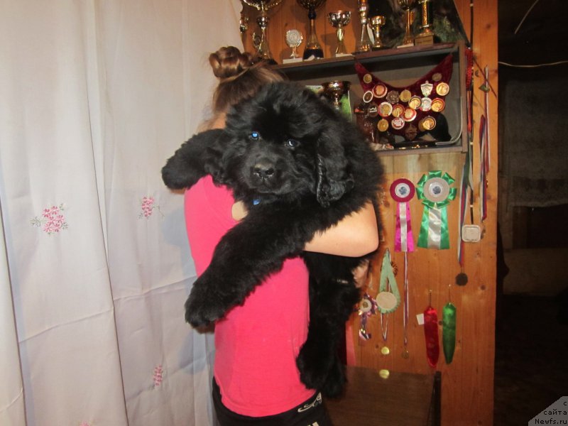 Фото: Natal'ya Smazchikova (Наталья Смазчикова)