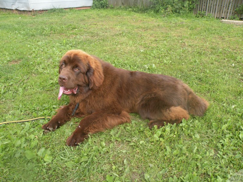 Фотография № 188489