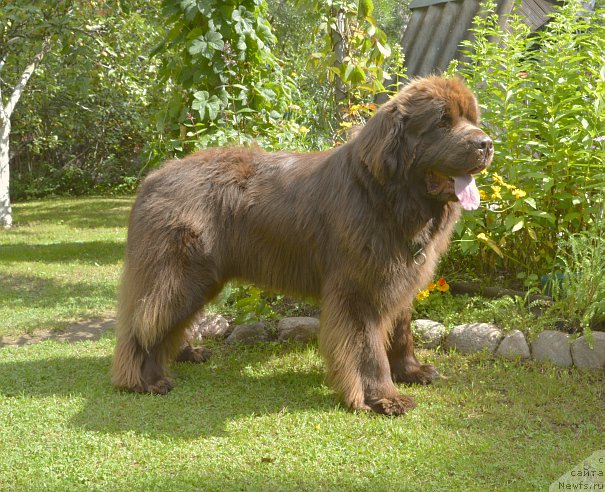 Фотография № 188519