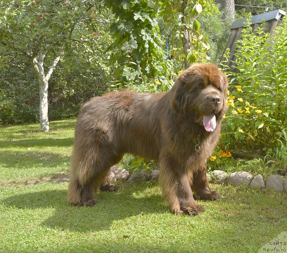 Фотография № 188520