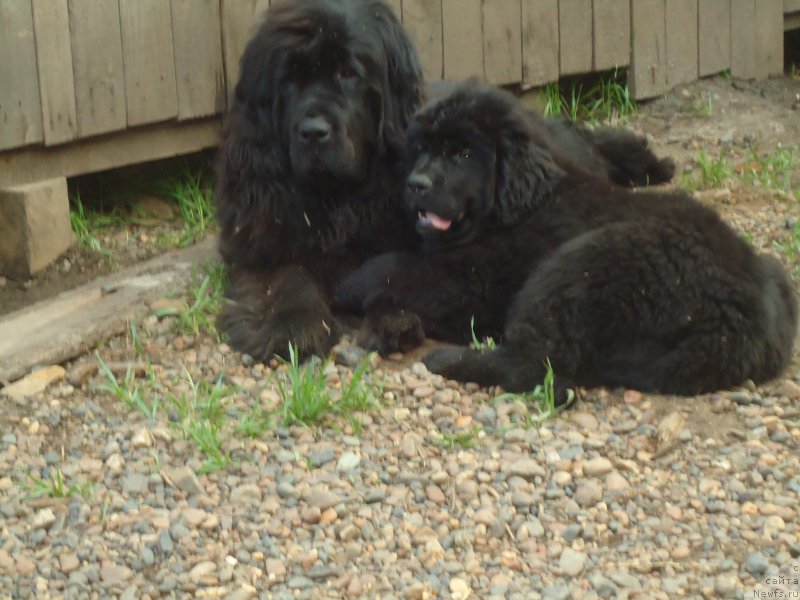 Фотография № 188530