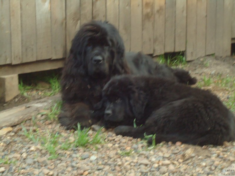 Фотография № 188531