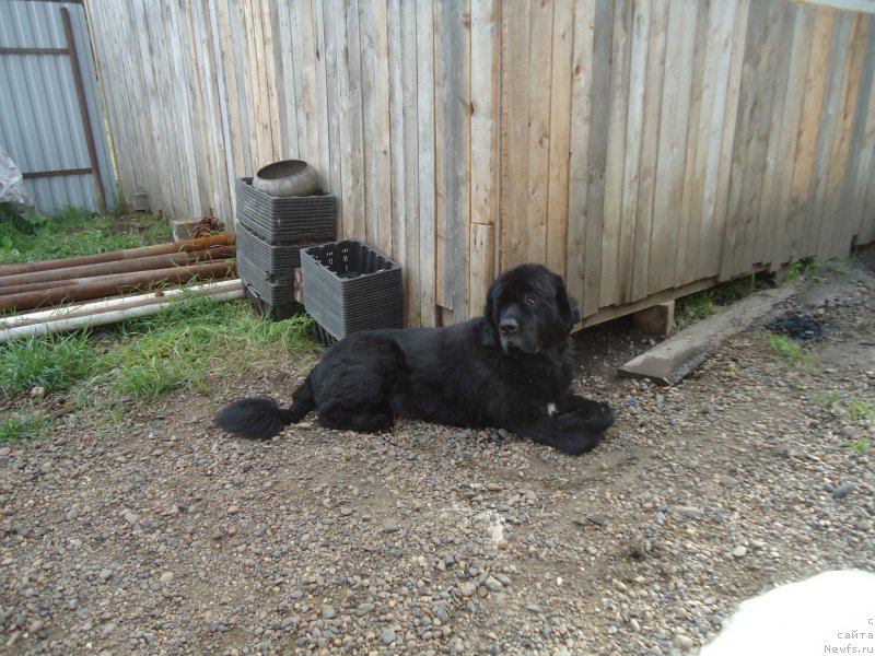 Фотография № 188533