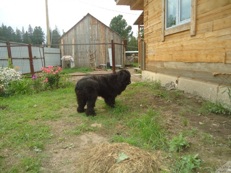 Фотография № 188534