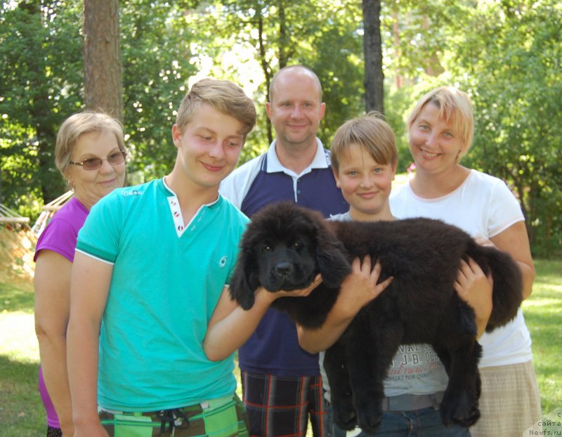 Фотография № 188545