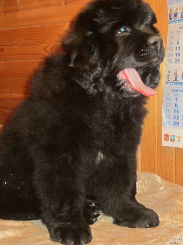 Фото: Natal'ya Smazchikova (Наталья Смазчикова)