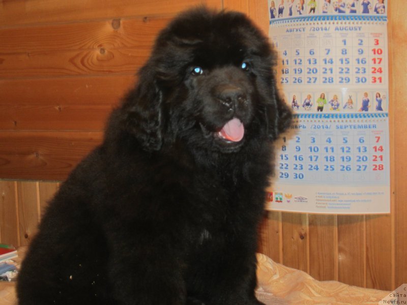 Фото: Natal'ya Smazchikova (Наталья Смазчикова)