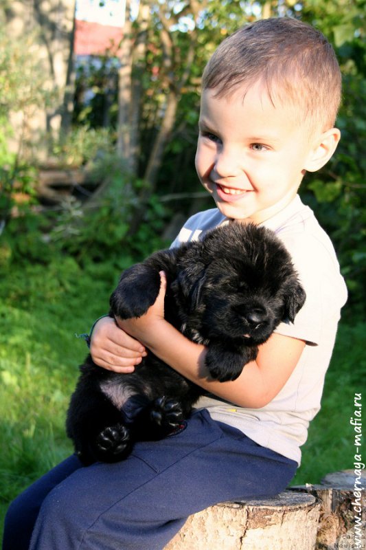 Фотография № 188590