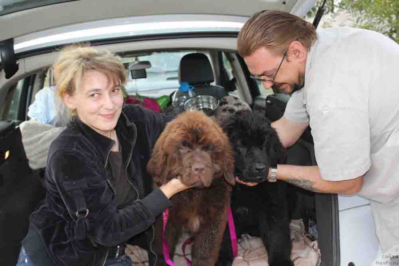 Фотография № 188596