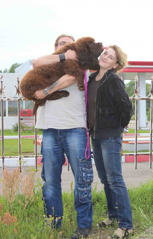 Фотография № 188598