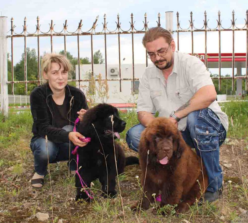 Фотография № 188605