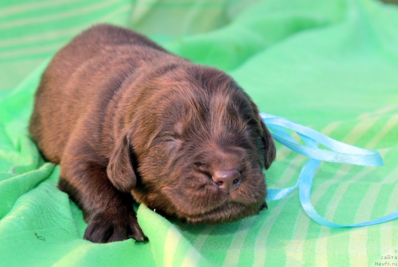 Фотография № 188606