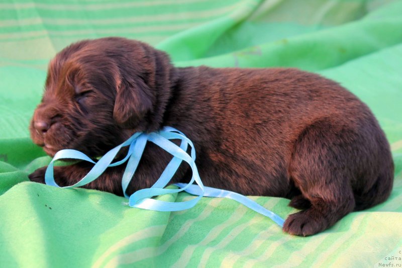 Фотография № 188607