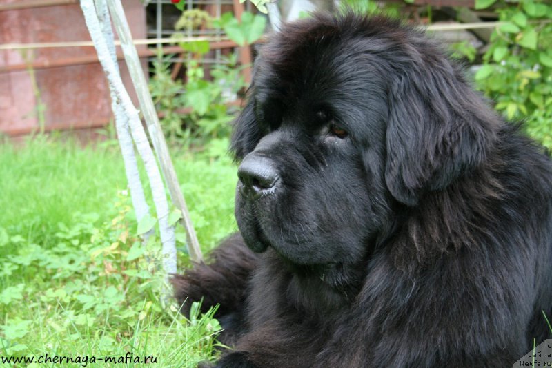 Фотография № 188612