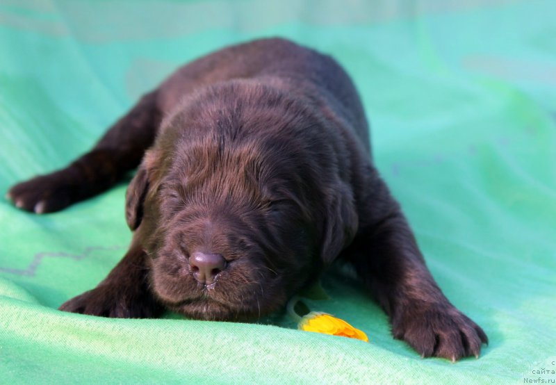 Фотография № 188616