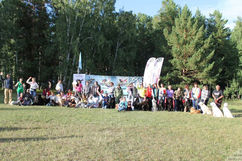 Фотография № 188646