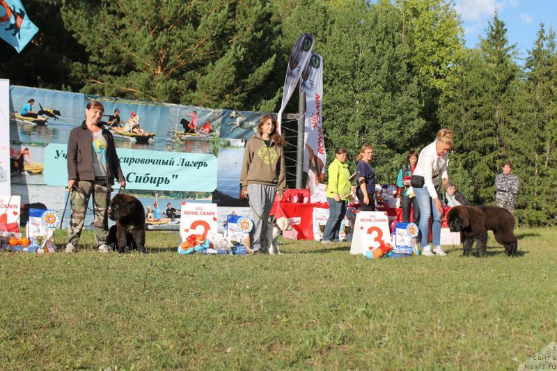 Фотография № 188647