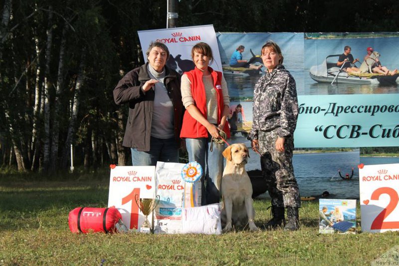 Фотография № 188649