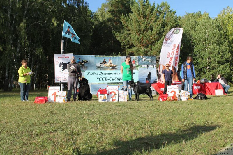 Фотография № 188650