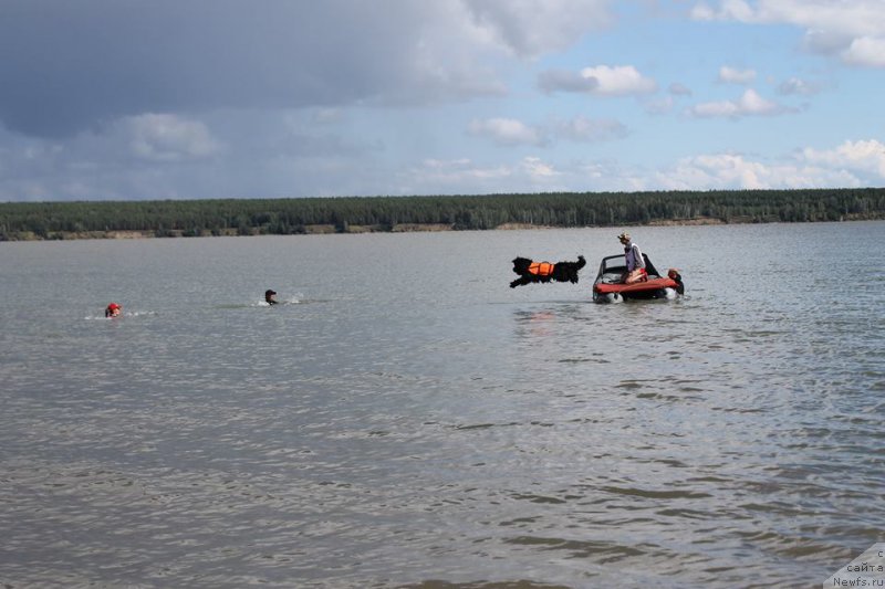 Фотография № 188657