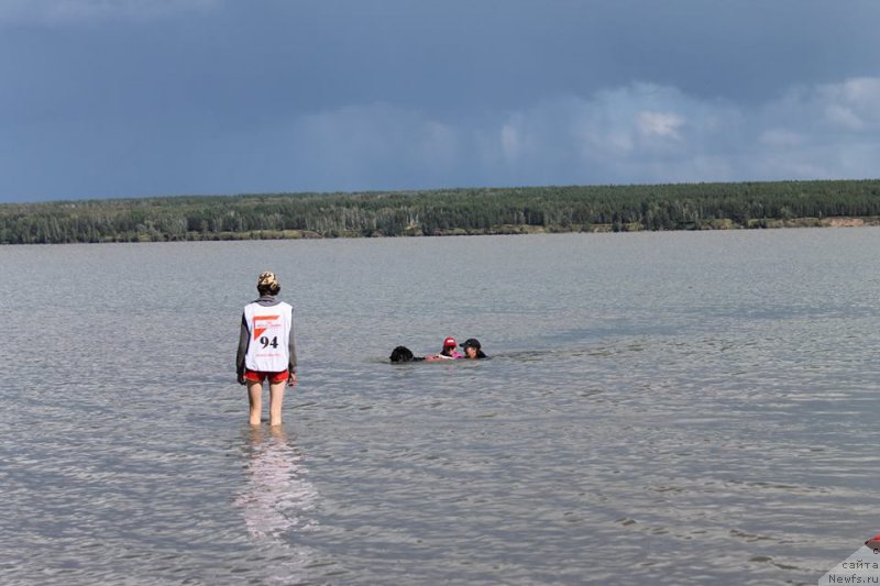 Фотография № 188658