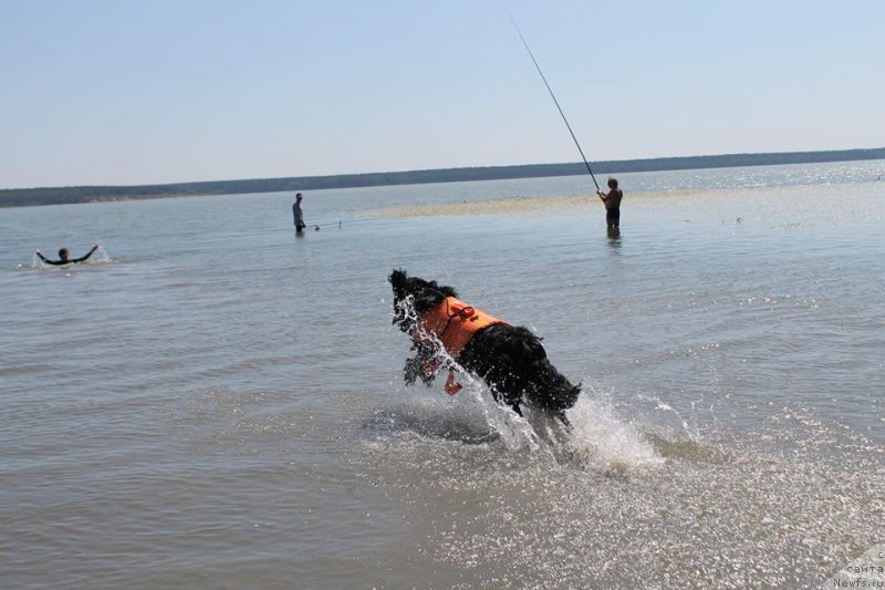 Фотография № 188663