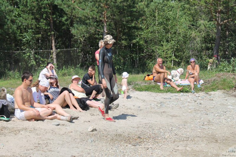 Фотография № 188665