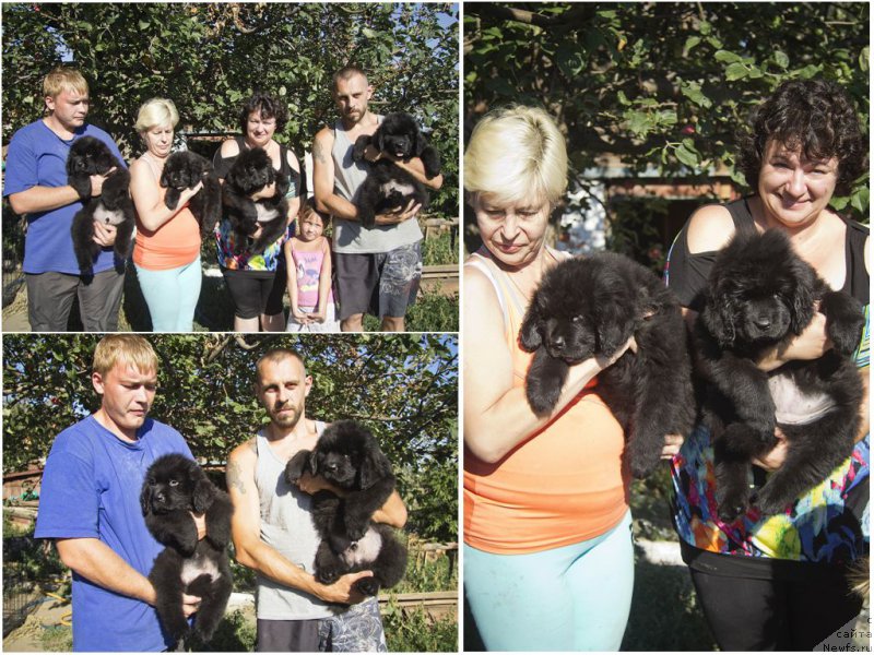 Фото: Aleksandr CHernyavskiy (Александр Чернявский), ньюфаундленд CHernyiy Balu Jora (Черный Балу Жора), Tat'yana CHernyavskaya (Татьяна Чернявская), ньюфаундленд CHernyiy Balu Jan-Jak (Черный Балу Жан-Жак), YUliya Ruzinskaya (Юлия Рузинская), ньюфаундленд CHernyiy Balu Jaklin (Черный Балу Жаклин), Andrey Volkov (Андрей Волков), ньюфаундленд CHernyiy Balu Jerar (Черный Балу Жерар), Ульяна