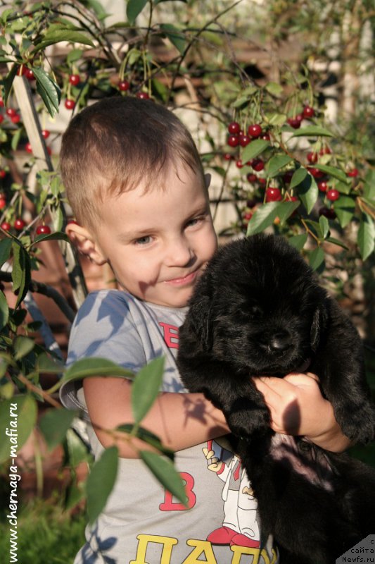 Фотография № 188669