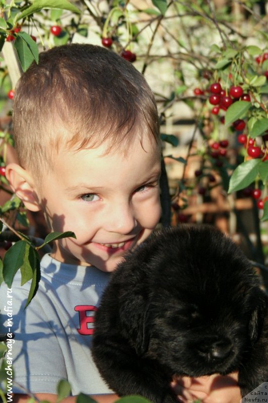 Фотография № 188671