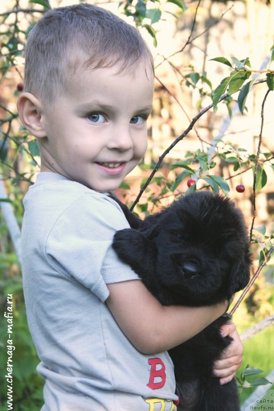 Фотография № 188673