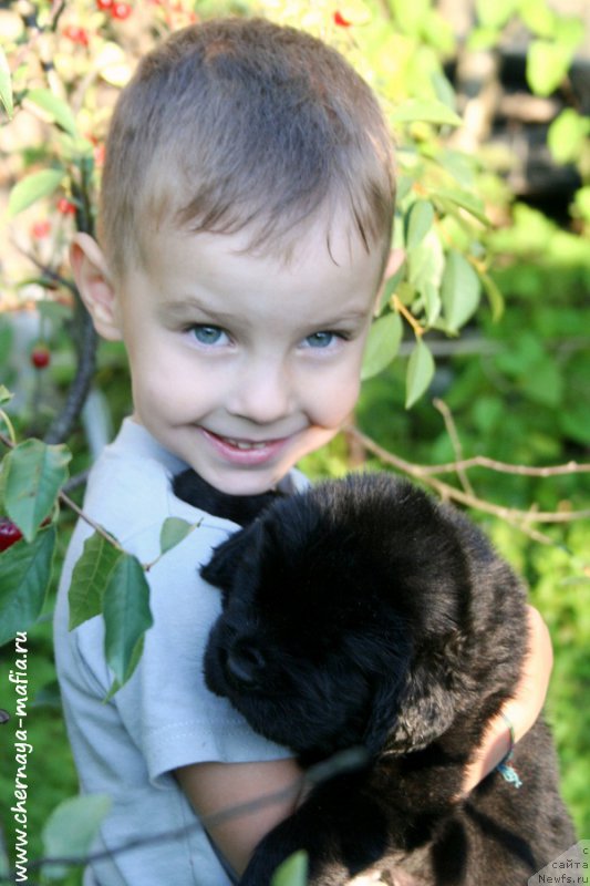 Фотография № 188674