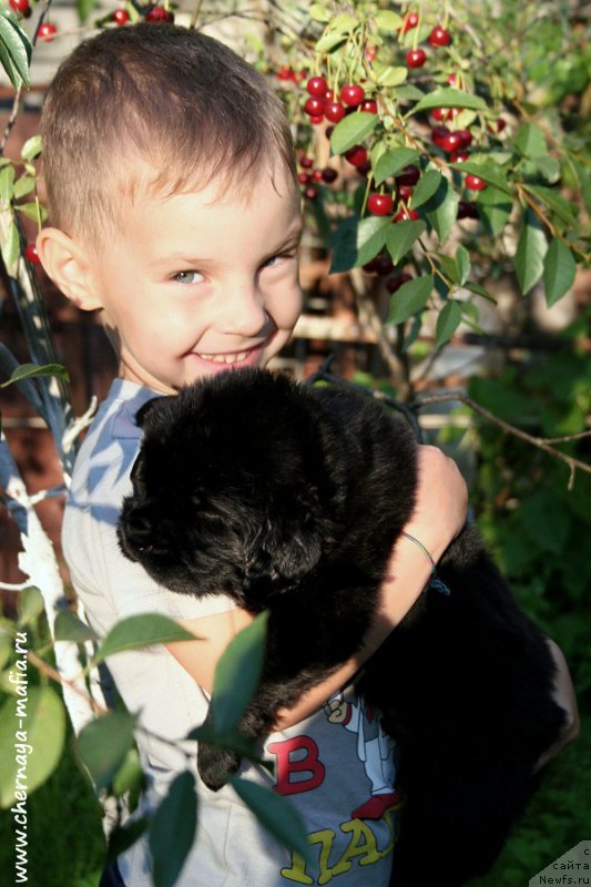 Фотография № 188675