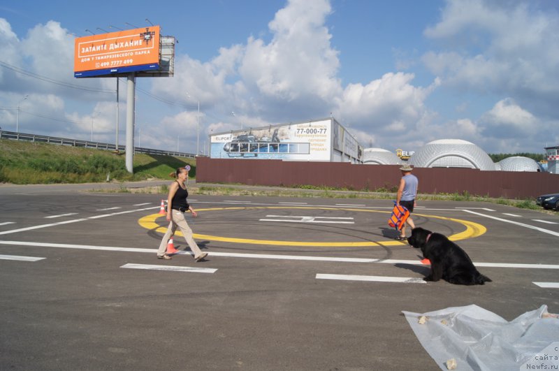 Фотография № 188679