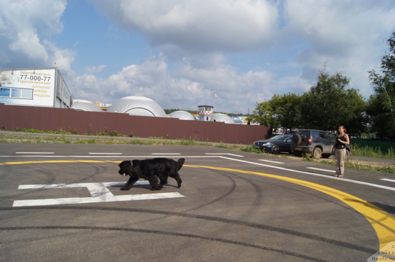 Фотография № 188684