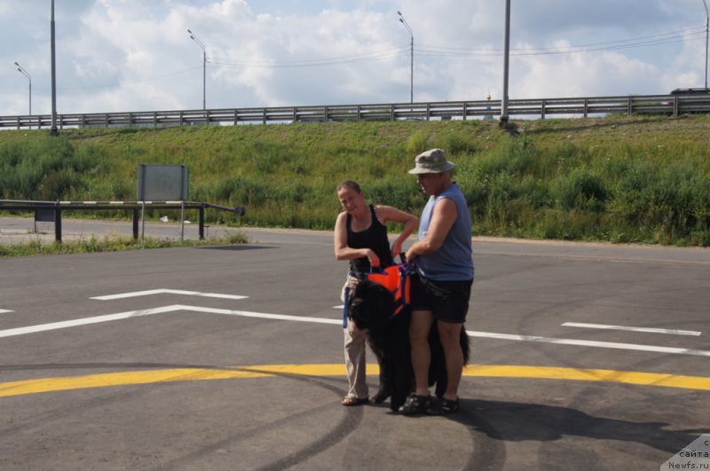 Фотография № 188686