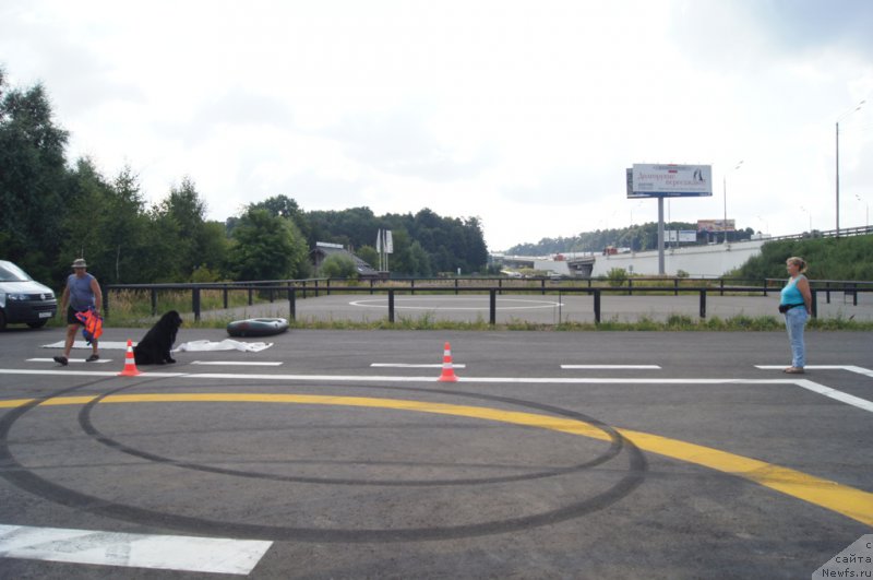 Фотография № 188693