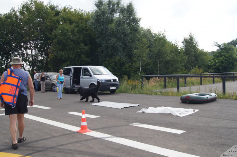 Фотография № 188694