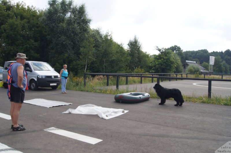 Фотография № 188695