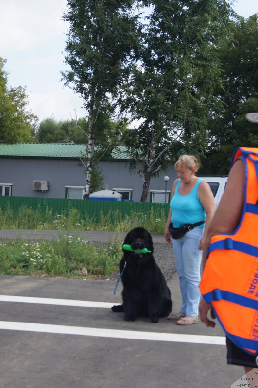 Фотография № 188697