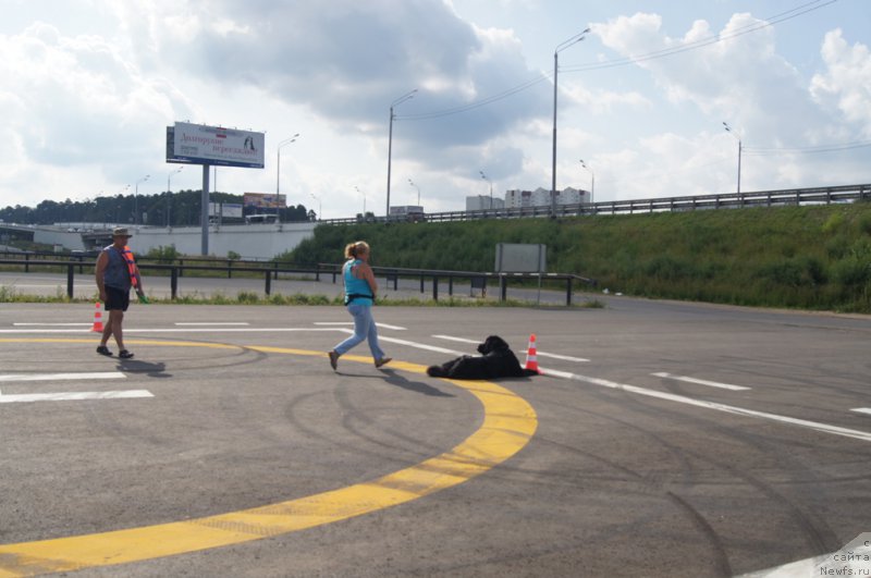 Фотография № 188699