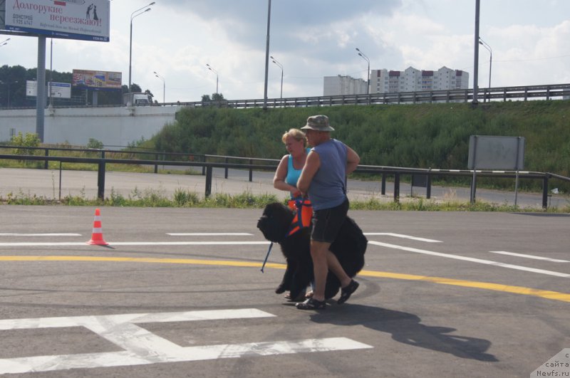 Фотография № 188700