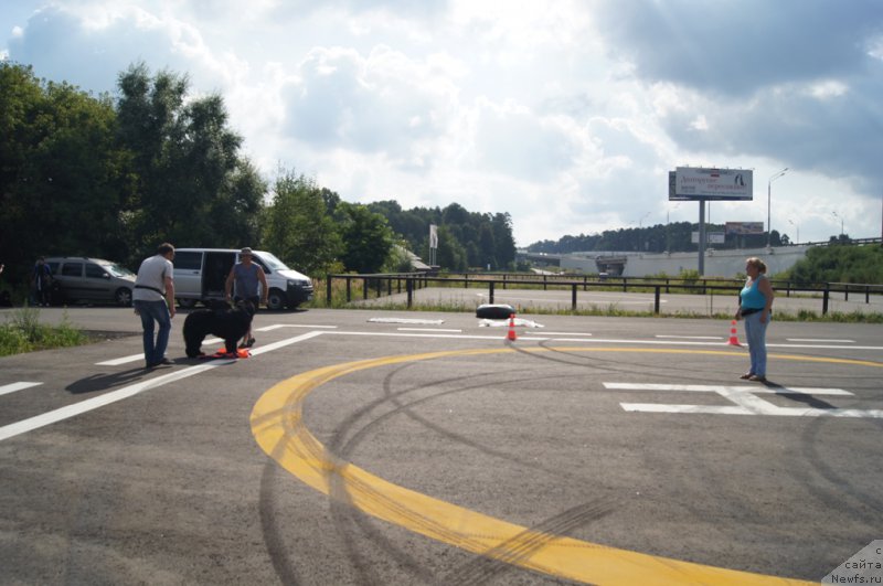 Фотография № 188703