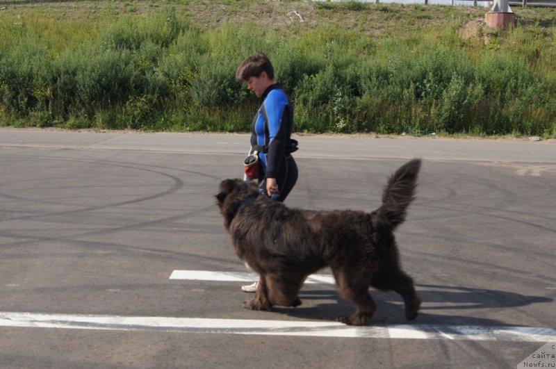 Фотография № 188704