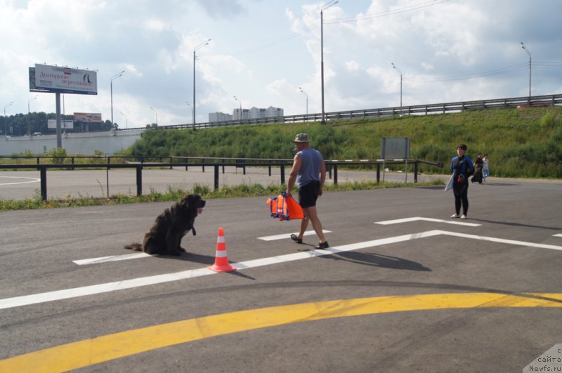 Фотография № 188705