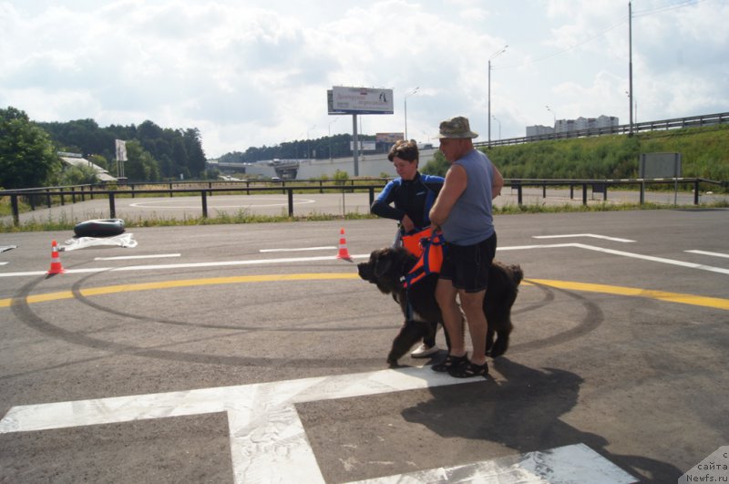 Фотография № 188710