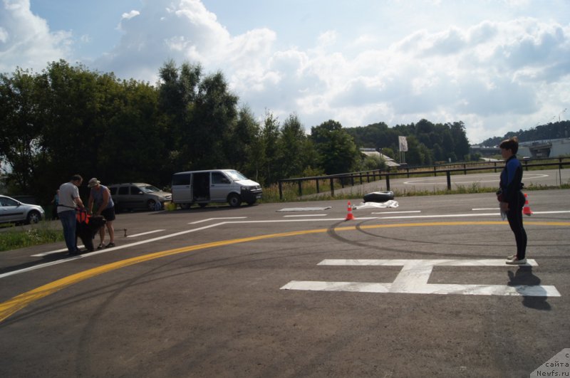 Фотография № 188711